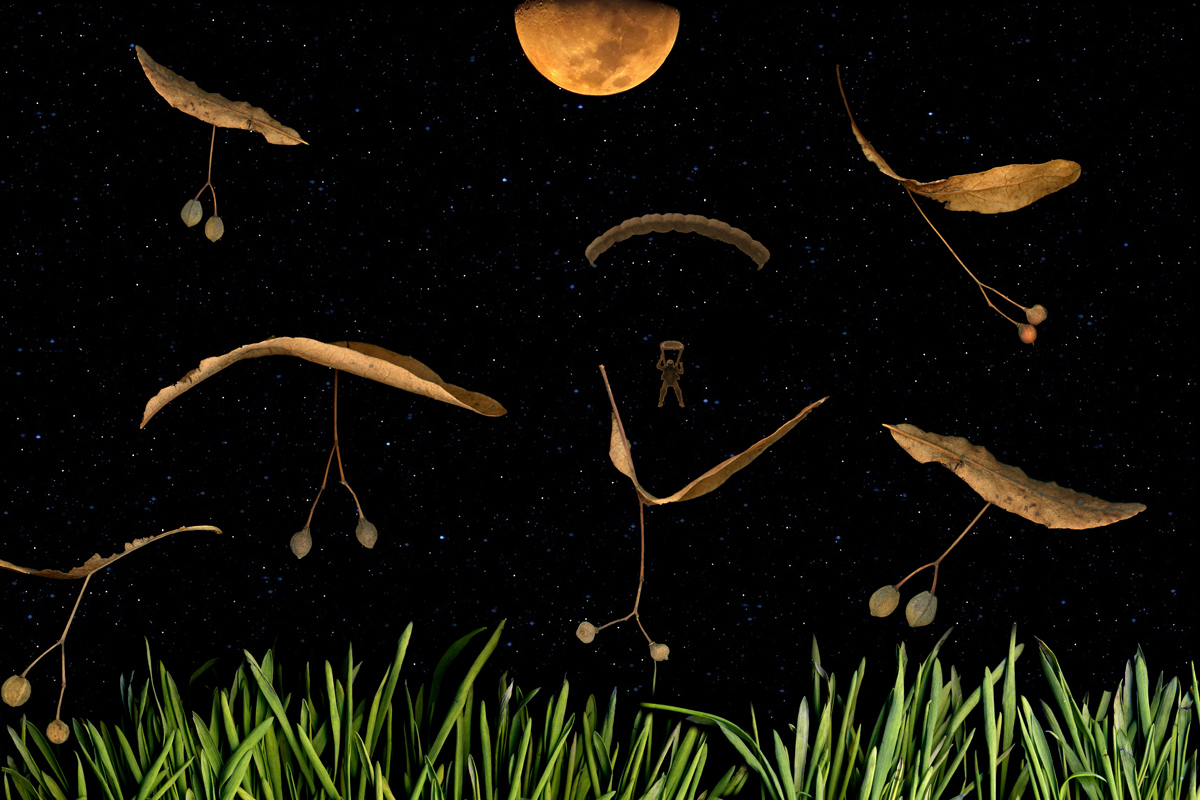 сканограмма